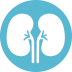 Kidney Transplants